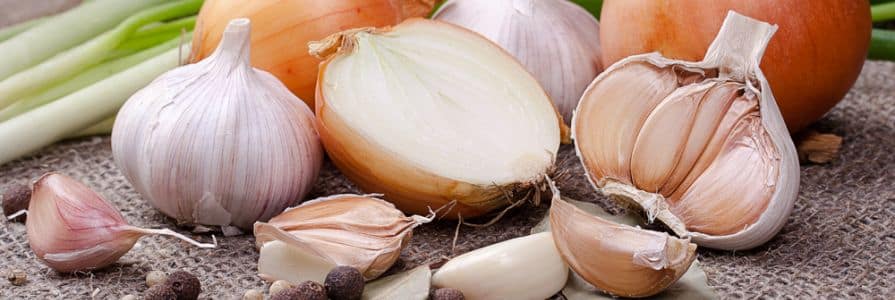 garlic and onion