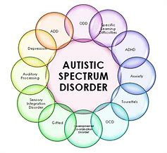 Autism and Dual Diagnosis