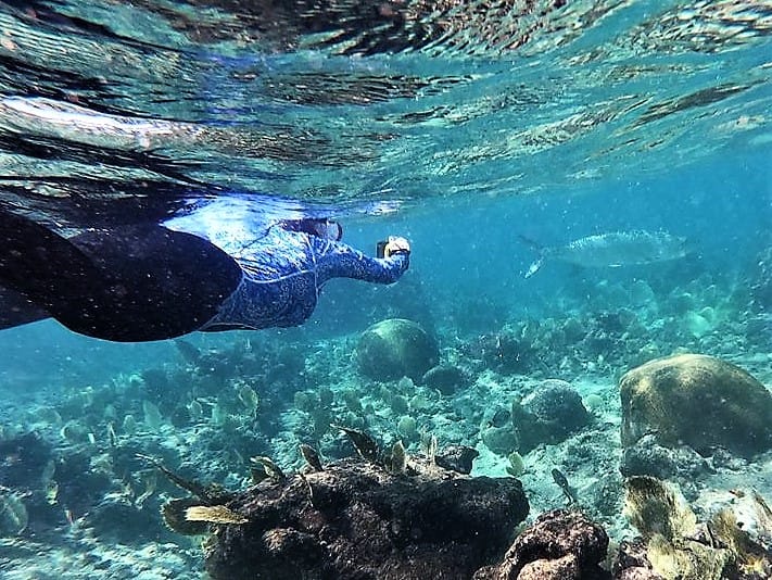 Snorkeling Grand Cayman Eden Rock 1