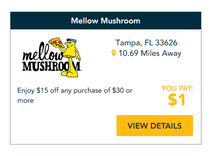 mellow mushroom Tampa dining guru example 