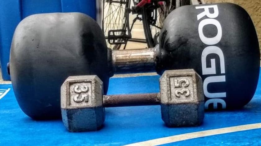dumbbell, strongman, powerlifting, rogue fitness,